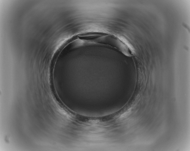 X0000097780391200803211803