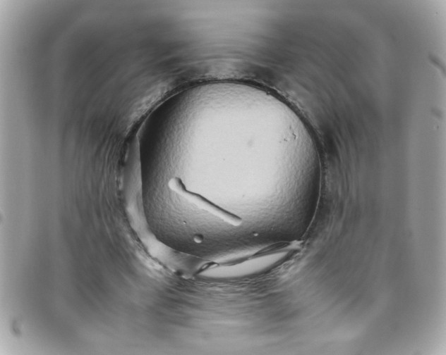 X0000097780393200803211803