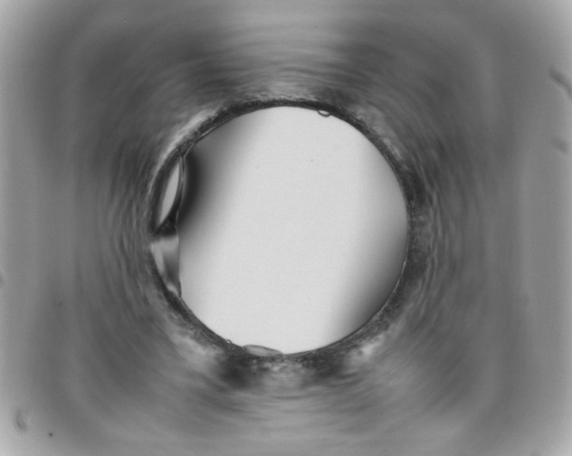 X0000097780395200803211803