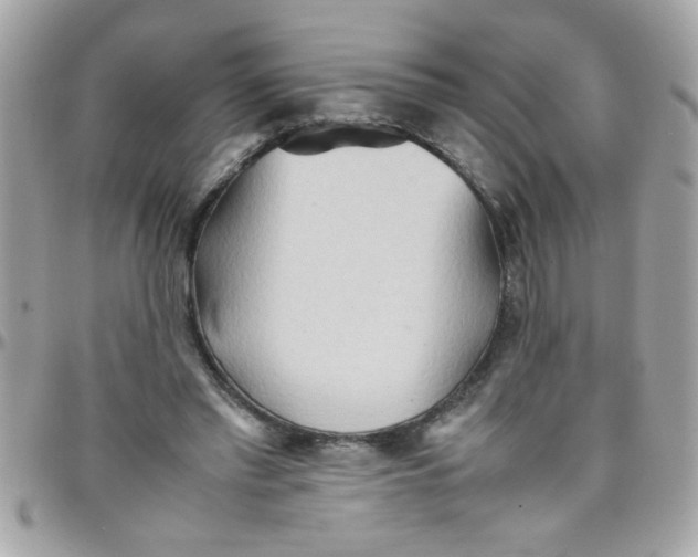 X0000097780397200803211803