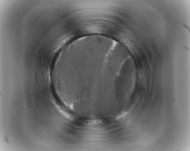 X0000097780398200803211803