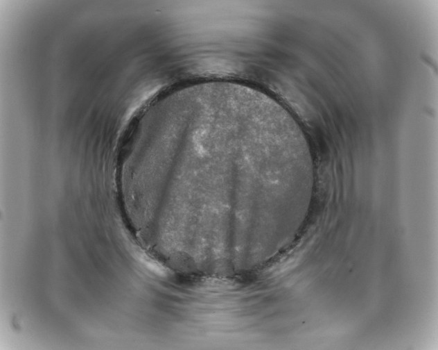 X0000097780399200803211803