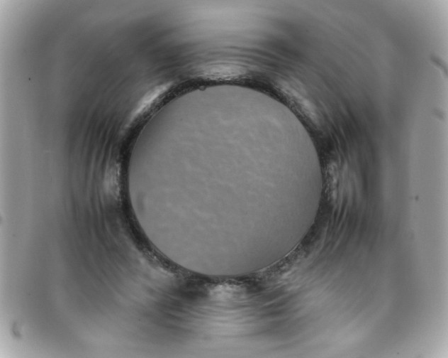 X0000097780400200803211803