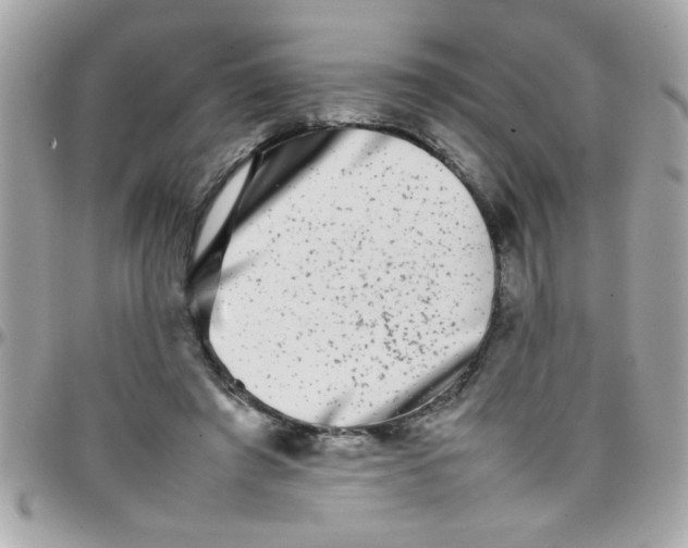 X0000097780401200803211803