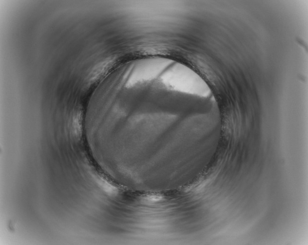 X0000097780402200803211803