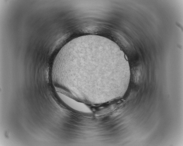 X0000097780404200803211803