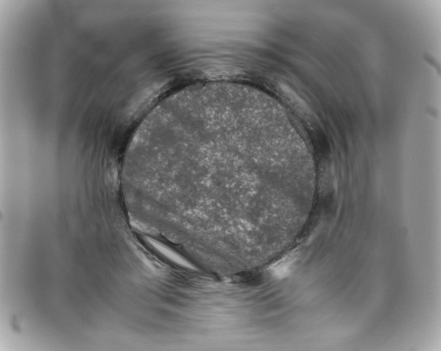 X0000097780405200803211803