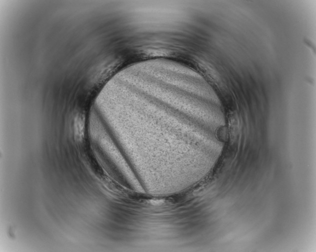 X0000097780406200803211803