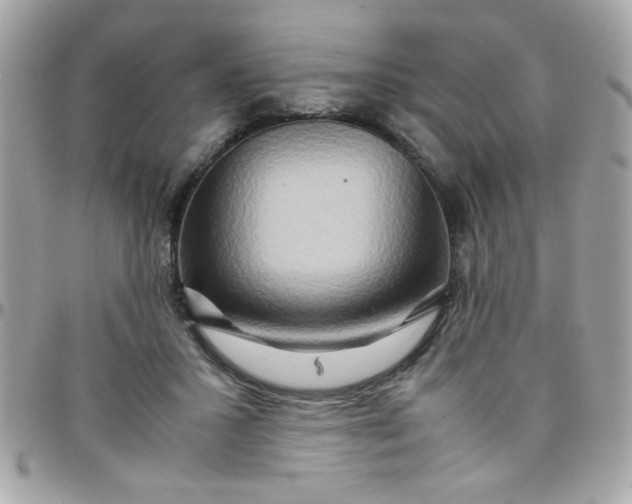 X0000097780407200803211803