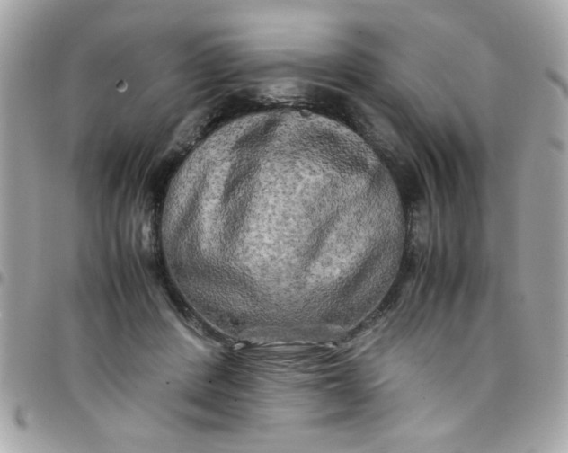 X0000097780408200803211803