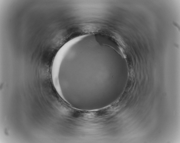 X0000097780411200803211803