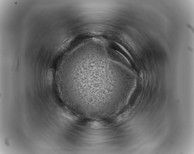 X0000097780412200803211803