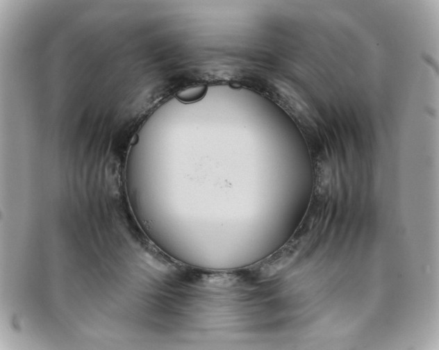 X0000097780414200803211803