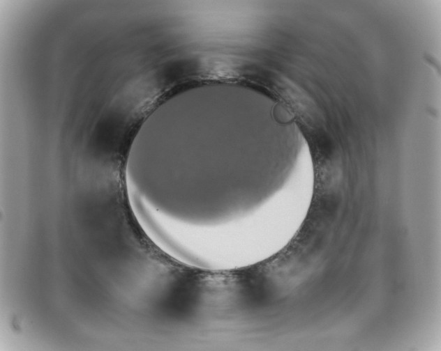 X0000097780415200803211803