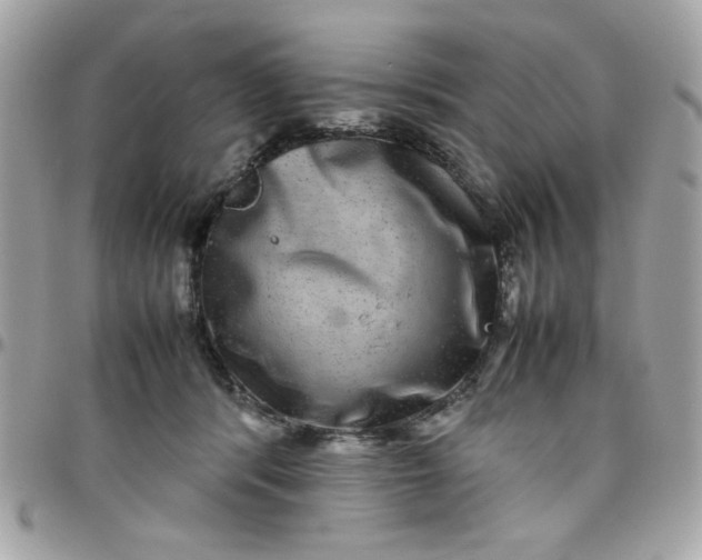 X0000097780416200803211803