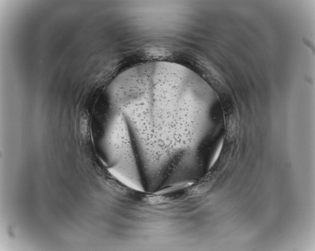 X0000097780417200803211803