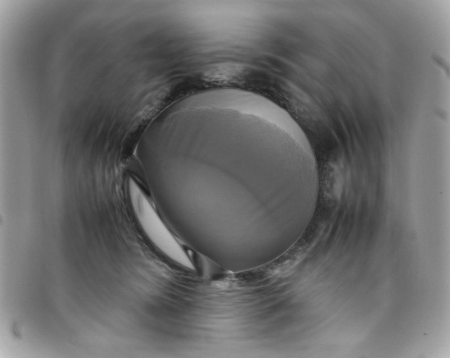 X0000097780420200803211803