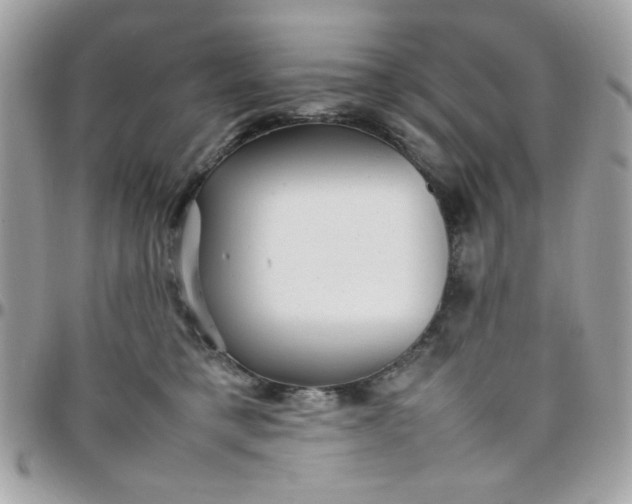 X0000097780421200803211803