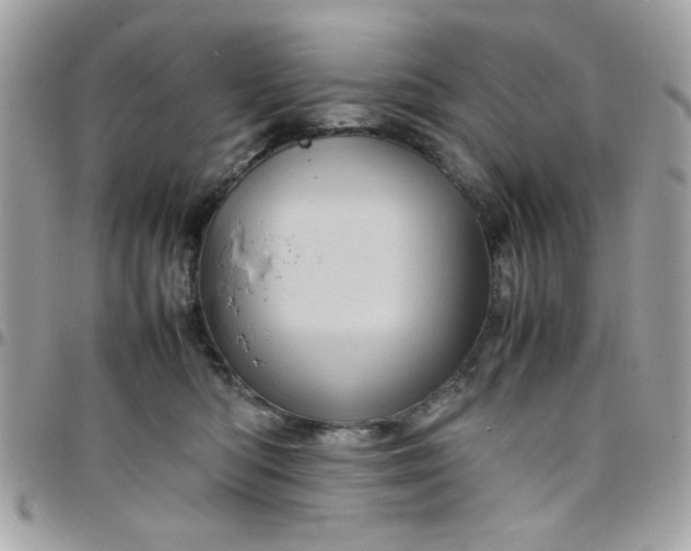 X0000097780422200803211803