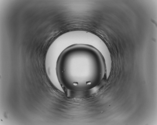 X0000097780423200803211803