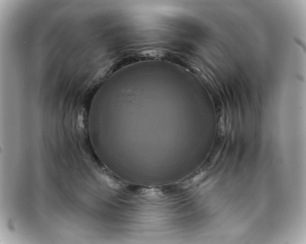 X0000097780424200803211803