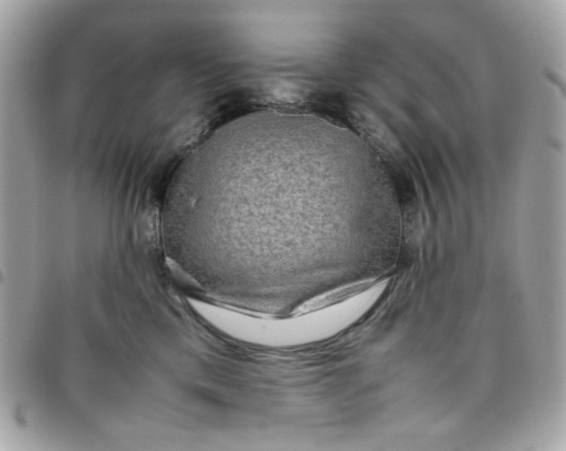 X0000097780425200803211803