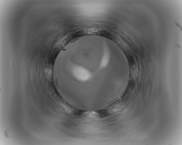 X0000097780427200803211803