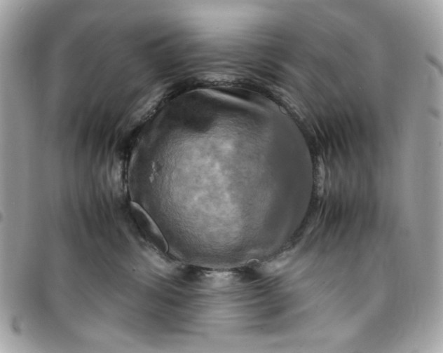 X0000097780428200803211803