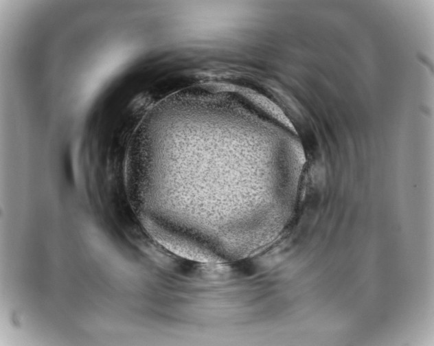 X0000097780429200803211803