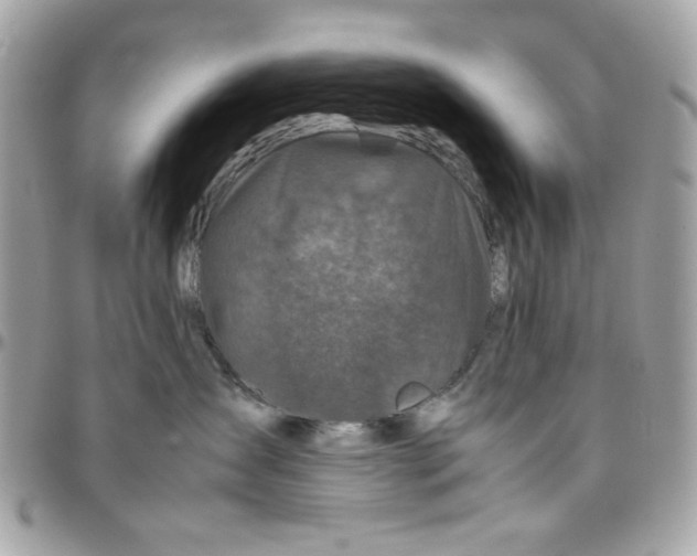 X0000097780431200803211803