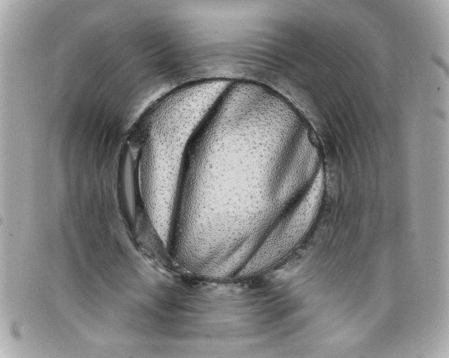 X0000097780434200803211802