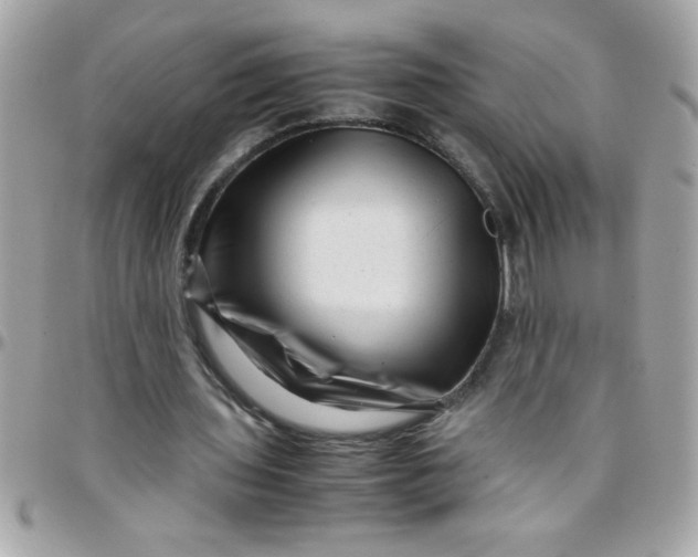 X0000097780435200803211802