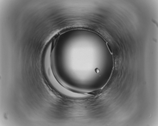 X0000097780436200803211802