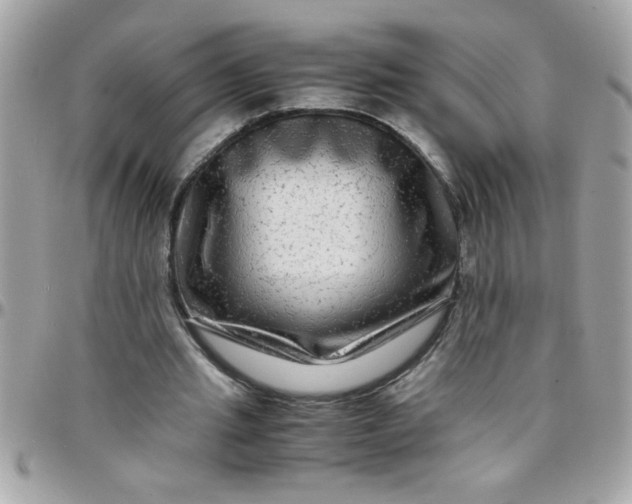 X0000097780437200803211802