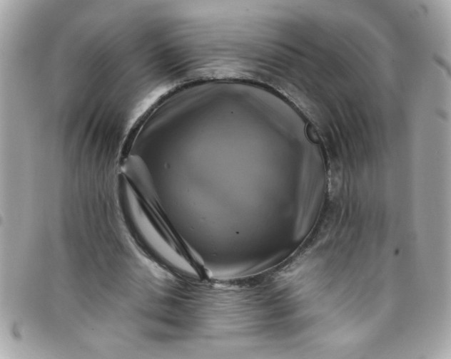 X0000097780438200803211802