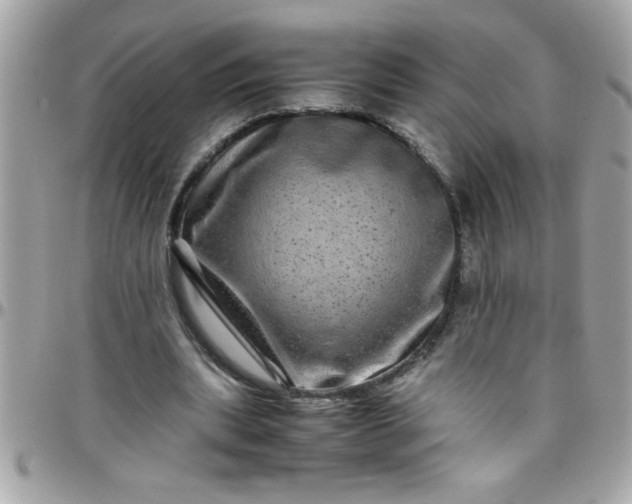 X0000097780439200803211802