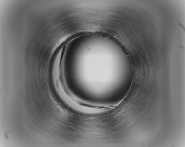 X0000097780440200803211802