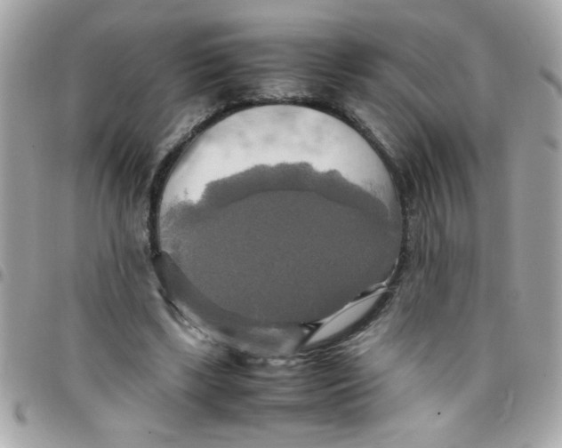 X0000097780443200803211802