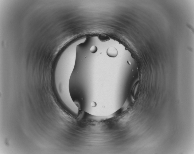 X0000097780444200803211802