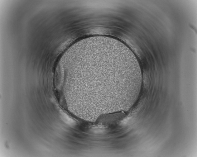 X0000097780445200803211802