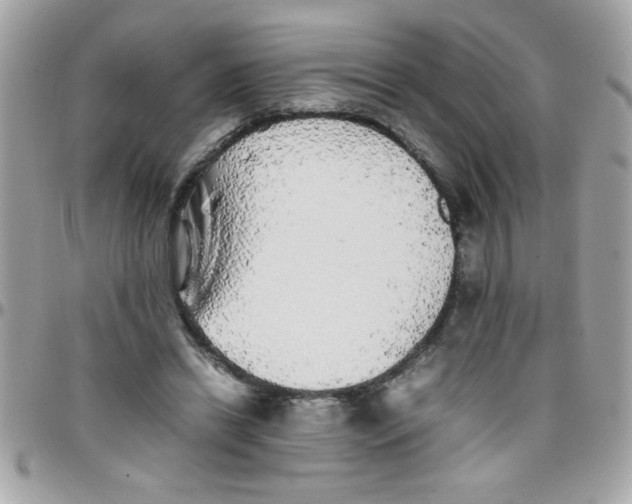 X0000097780446200803211802