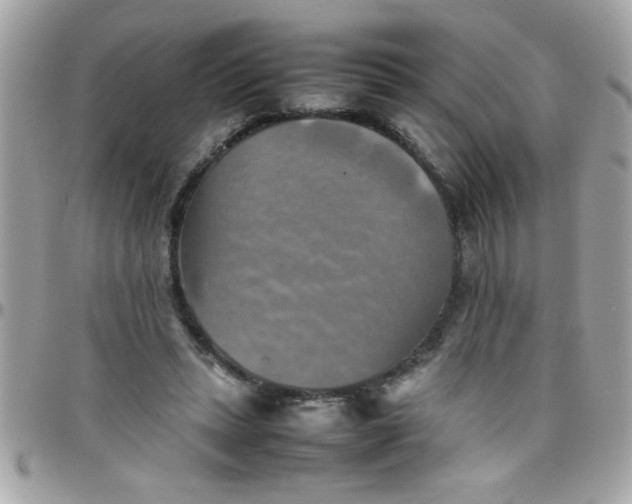 X0000097780447200803211802