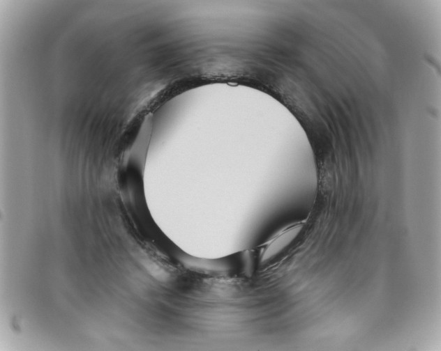 X0000097780448200803211802