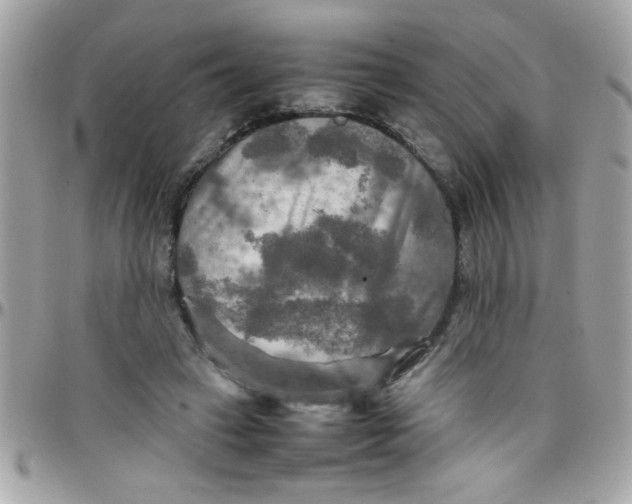 X0000097780449200803211802