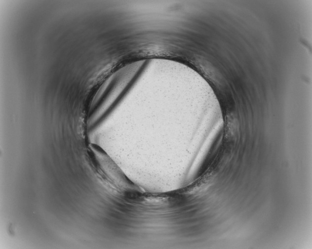 X0000097780450200803211802