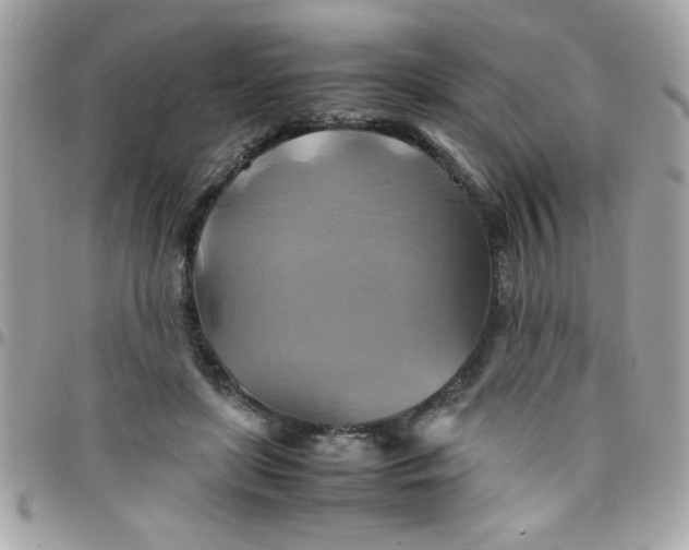 X0000097780451200803211802