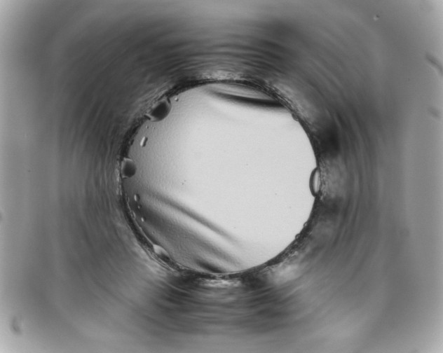 X0000097780453200803211802