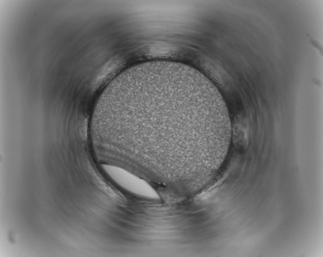 X0000097780454200803211802