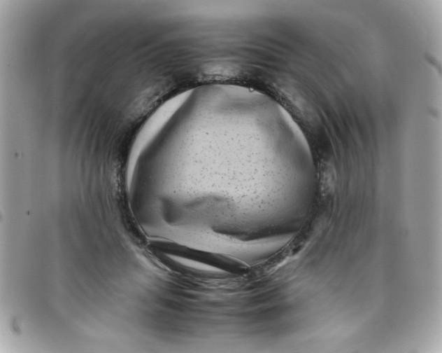 X0000097780455200803211802