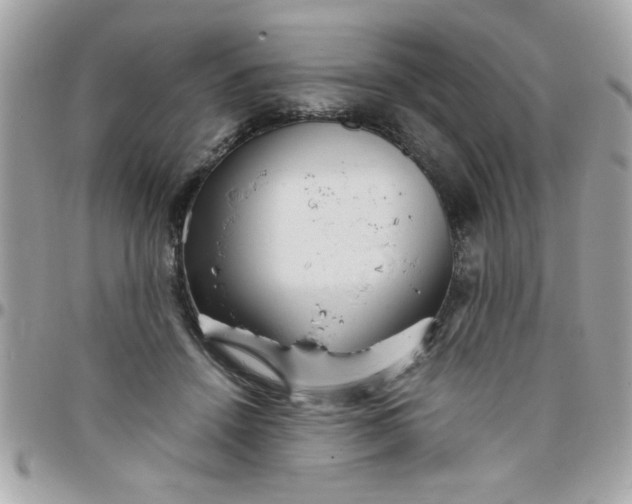 X0000097780456200803211802